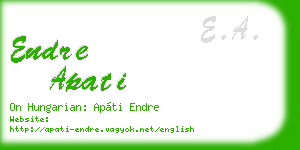 endre apati business card